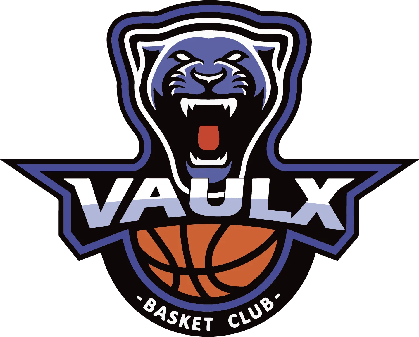 VAULX BASKET